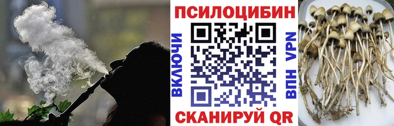 дарк нет состав  Гусиноозёрск  Галлюциногенные грибы ЛСД 
