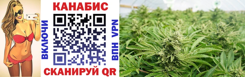 наркошоп  мега сайт  Бошки марихуана ГИДРОПОН  Гусиноозёрск 